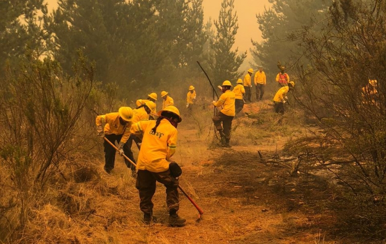 ARMADA SE SUMÓ A LOS APOYOS PARA COMBATIR INCENDIO FORESTAL EN VALPARAÍSO. ARMADA SE SUMÓ A LOS APOYOS PARA COMBATIR INCENDIO FORESTAL EN VALPARAÍSO.