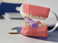 CAPACITACIÓN EN HIGIENE ORAL PARA CURSO SANIDAD DENTAL DE LA ACADEMIA POLITÉCNICA NAVAL